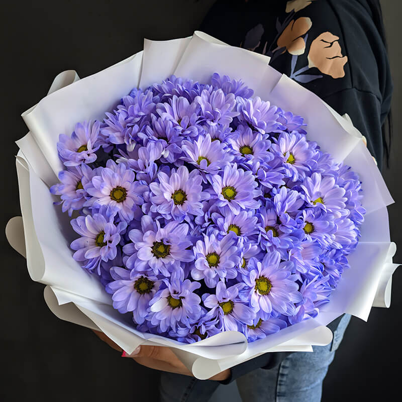 Букет из 11 фиолетовых ромашковых хризантем - купить с доставкой в Иркутске